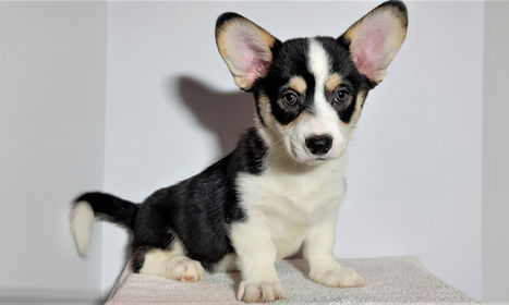 20220306_182308 (2).jpg