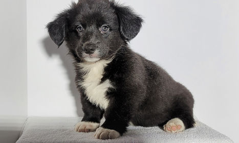 20220207_114816 (2).jpg