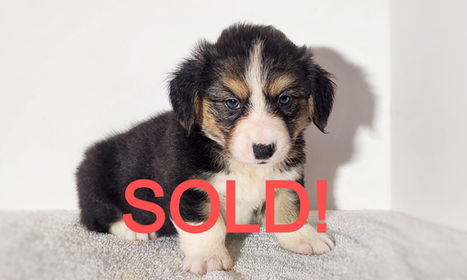 20220907_151307 (2).jpg