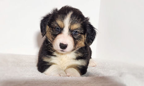 20220907_151509 (2).jpg