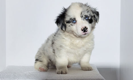 20220207_114115 (2).jpg