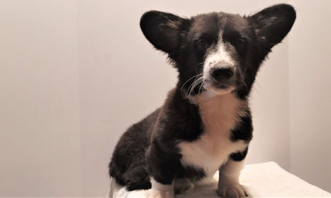 20220330_095528 (2).jpg