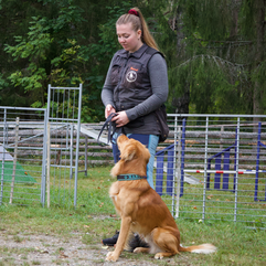 Skjermbilde 2022-03-12 kl. 15.12.48.png