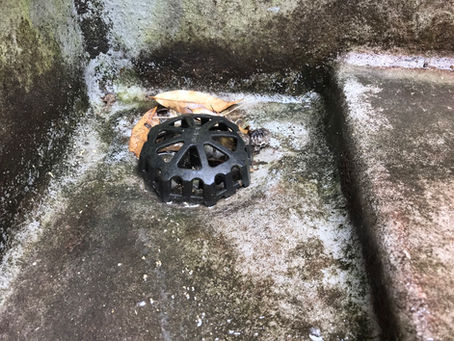 塗り替え見積もり無料　廣真（こうしん）