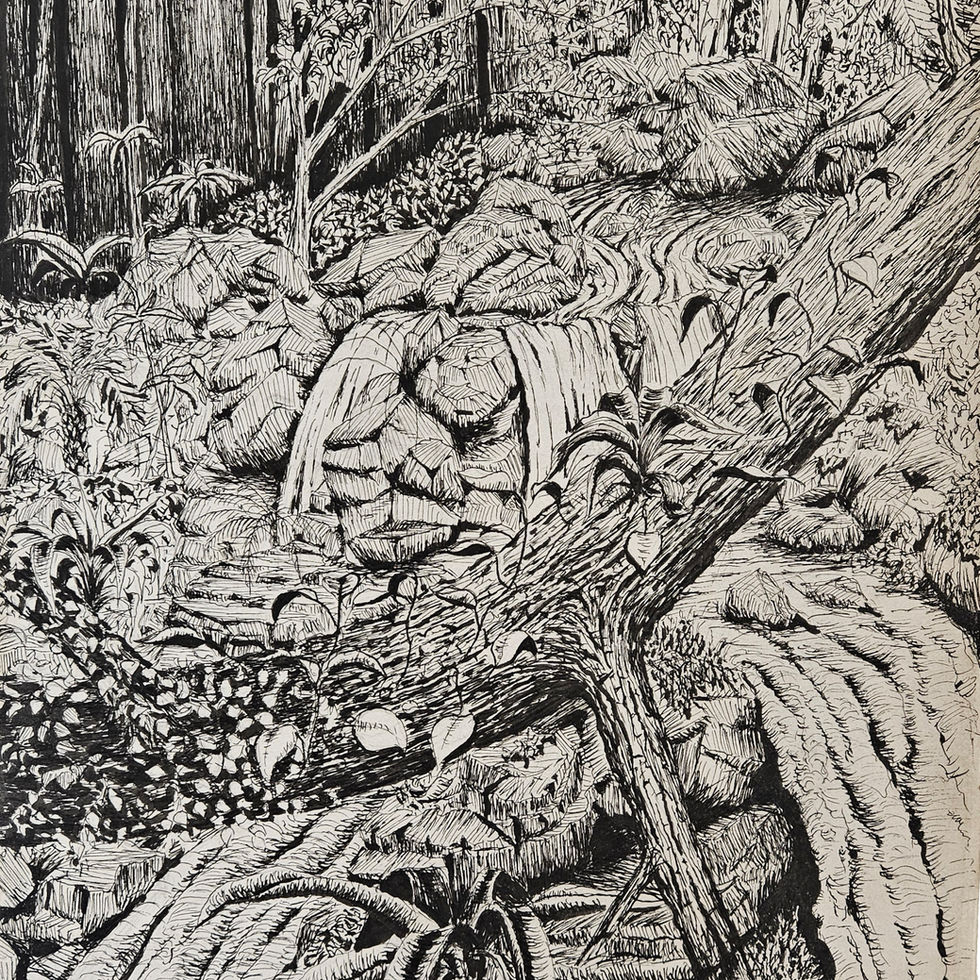 Breidachklamm Studie
