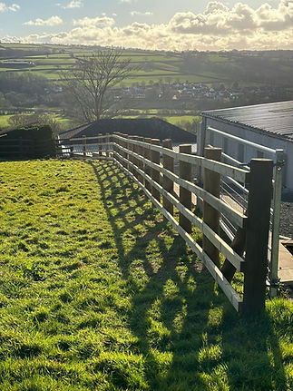 Agricultural Fencing