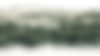 transition_blanc_foret_blanc_site.jpg