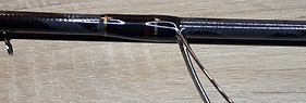 20200401_165125.jpg
