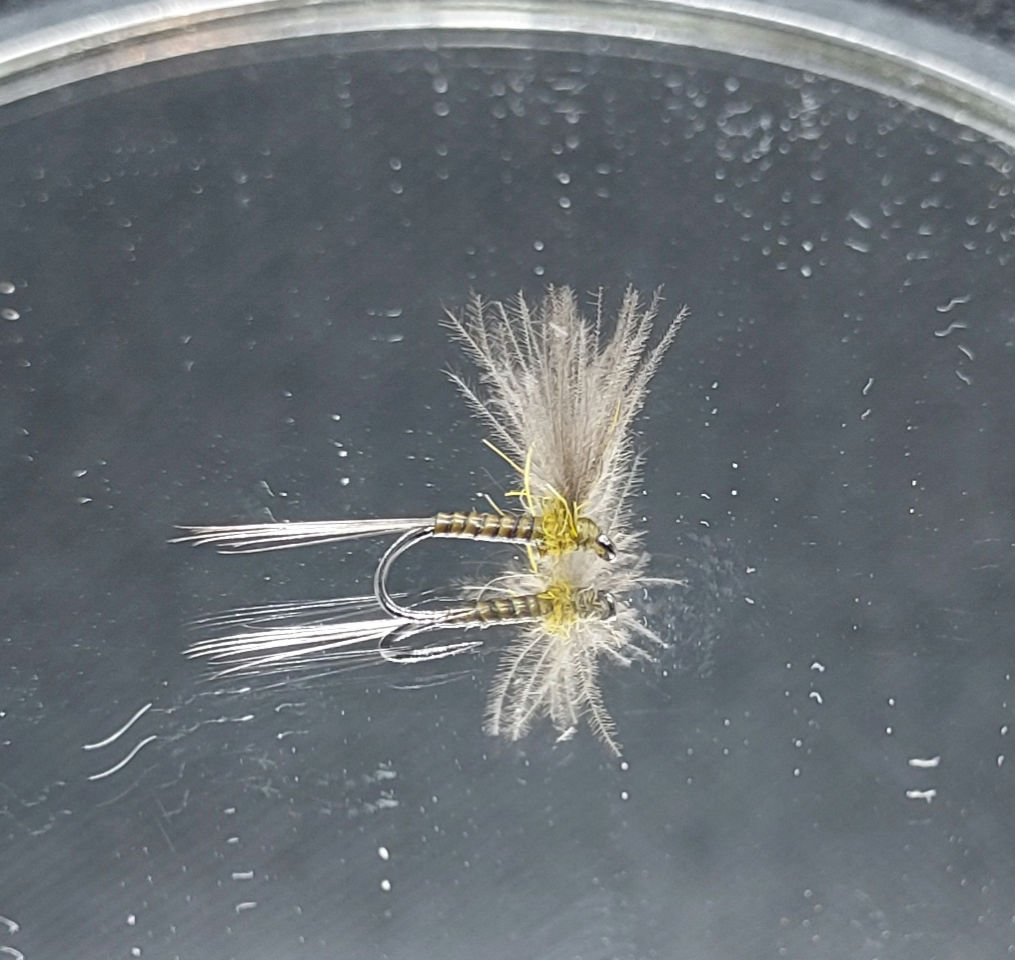 Sèche Olive Foncé Quill