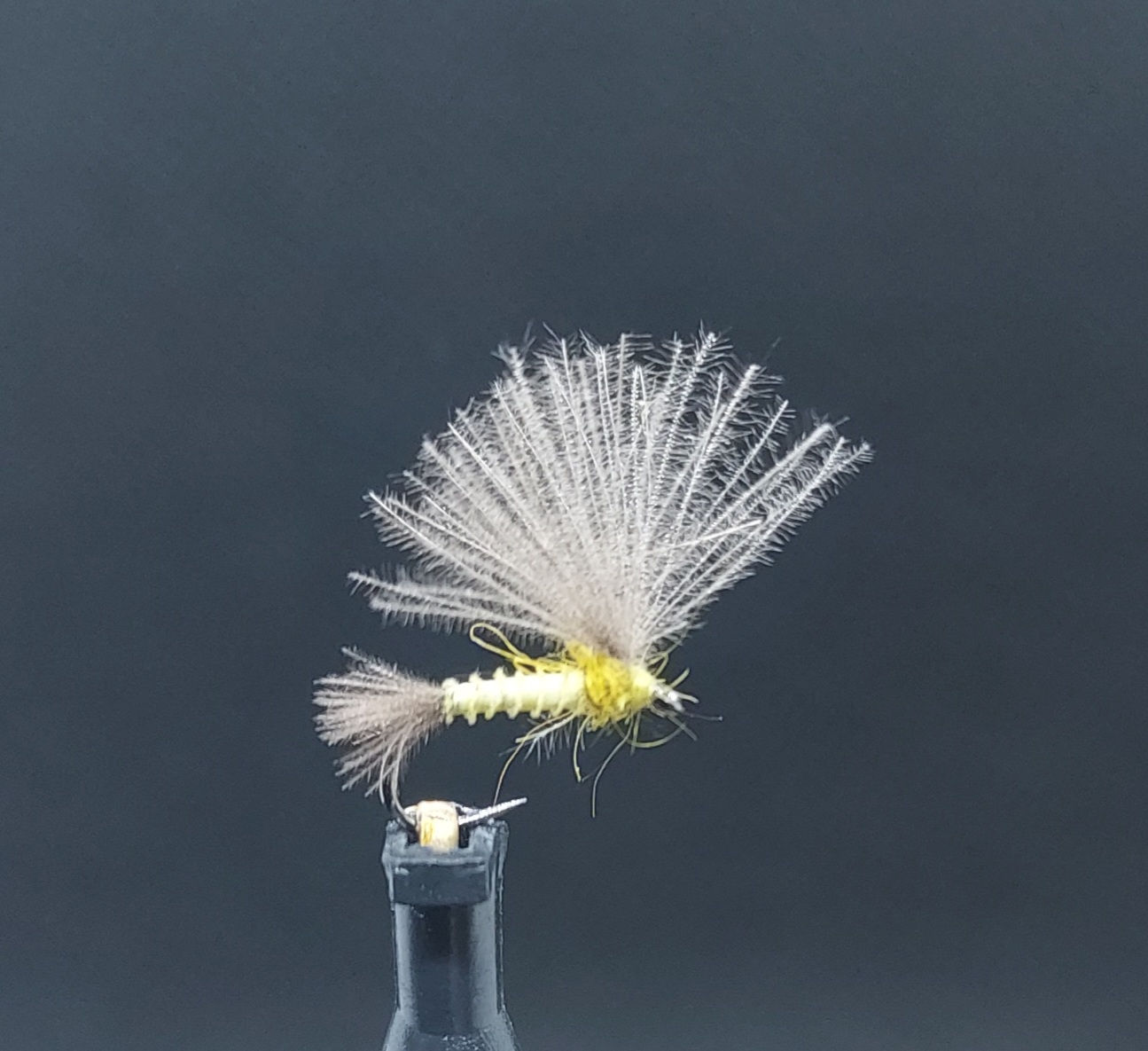 Emergente Olive Claire Exuvie