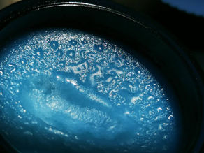 7º ANIVERSÁRIO DO SENTE SENAS