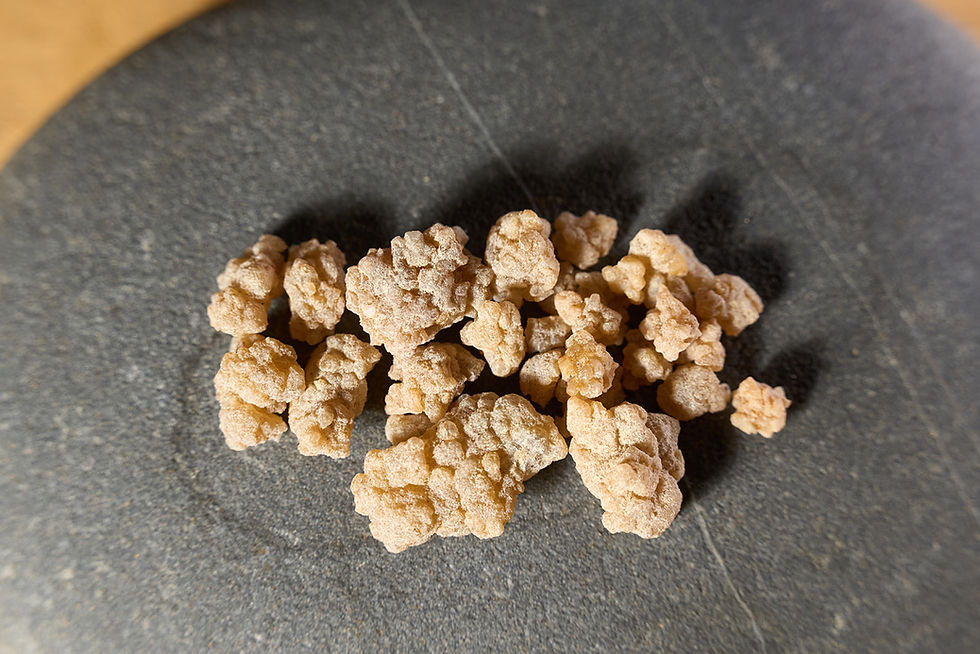 Miniatura: COPAL DO GUATEMALA