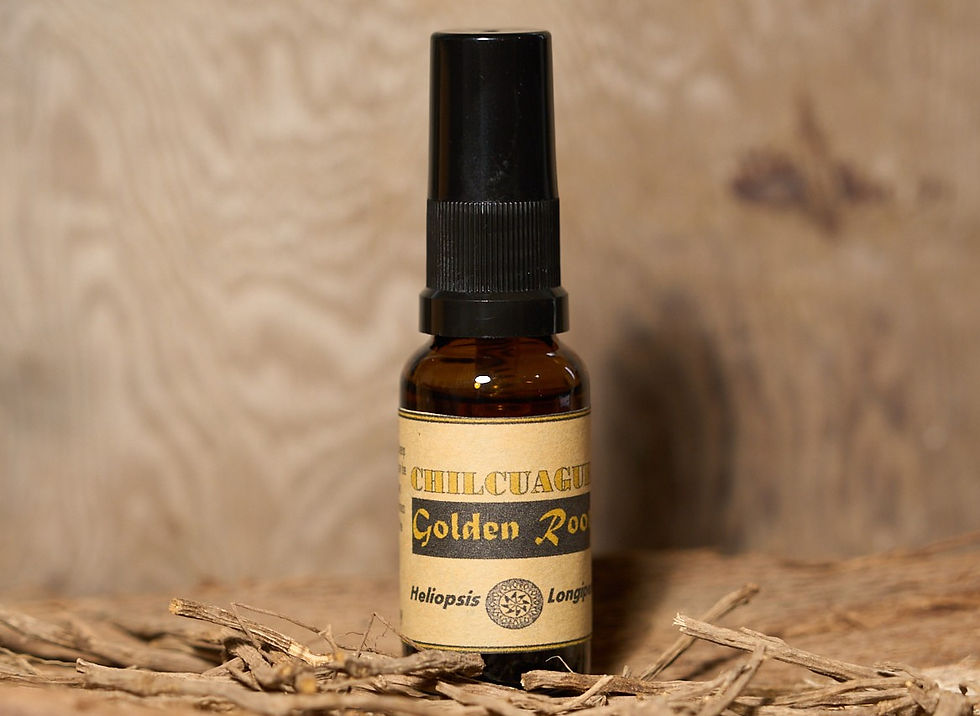 Miniatura: CHILCUAGUE Extracto