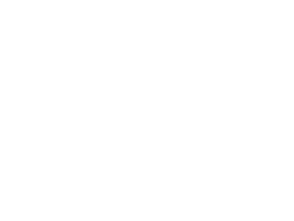StreamCityLogoWHT.png