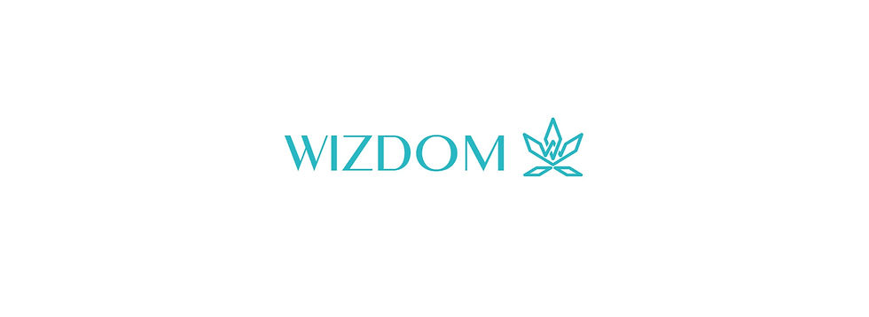 wizdom logo_edited
