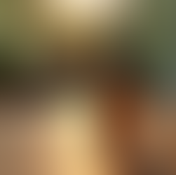 גילוי היתרונות הבריאותיים של CBD