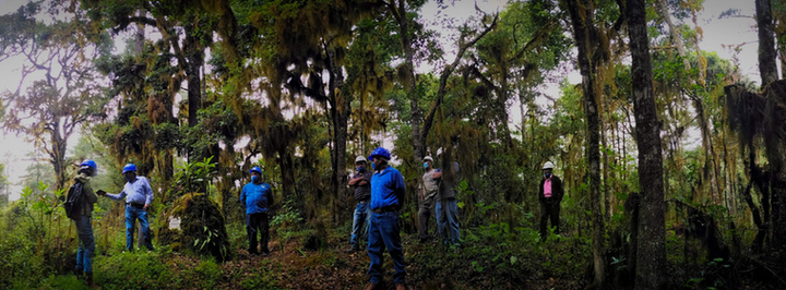 México: comunidad zapoteca conserva un bosque y frena la migración