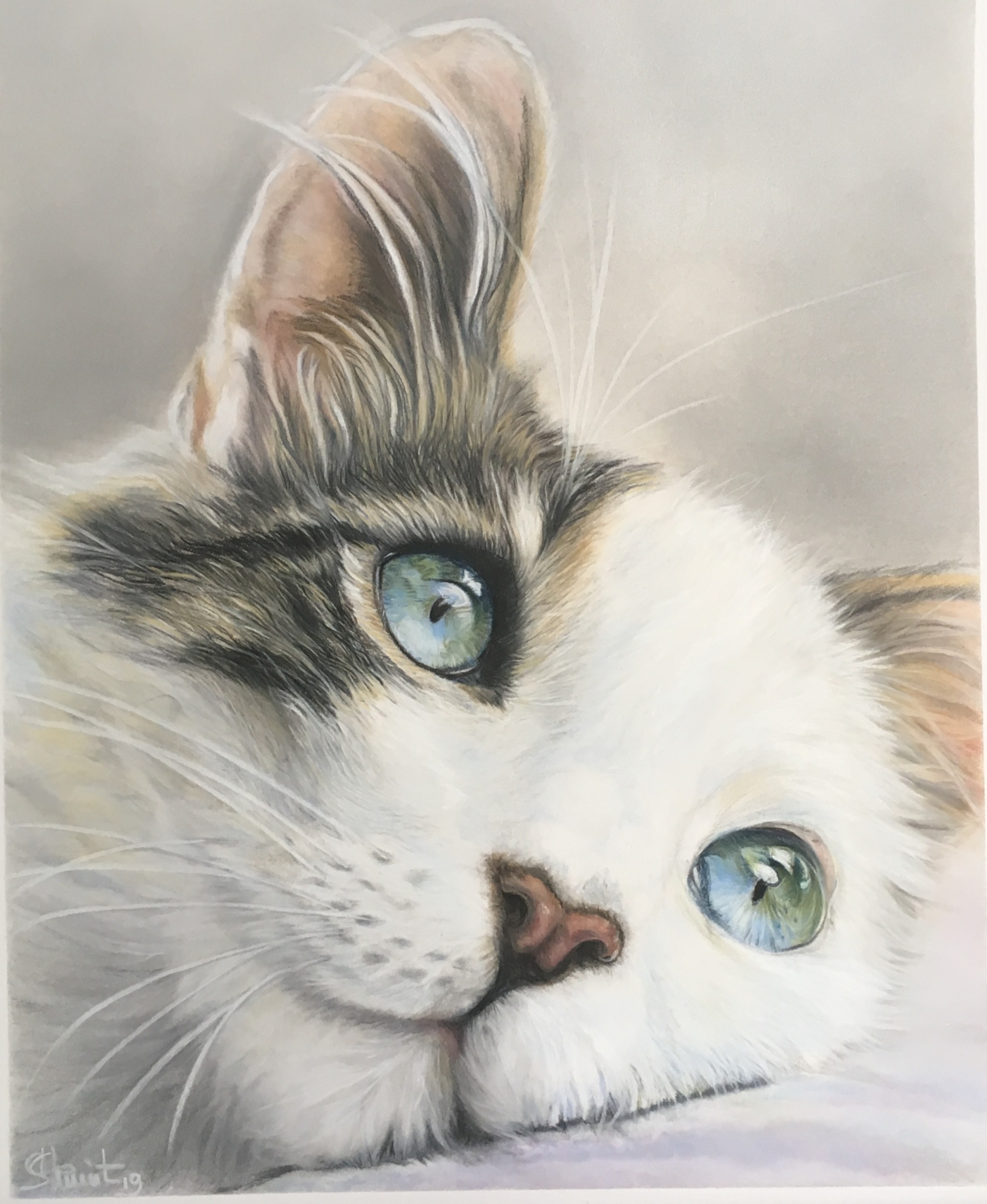 Regard bleu 100€