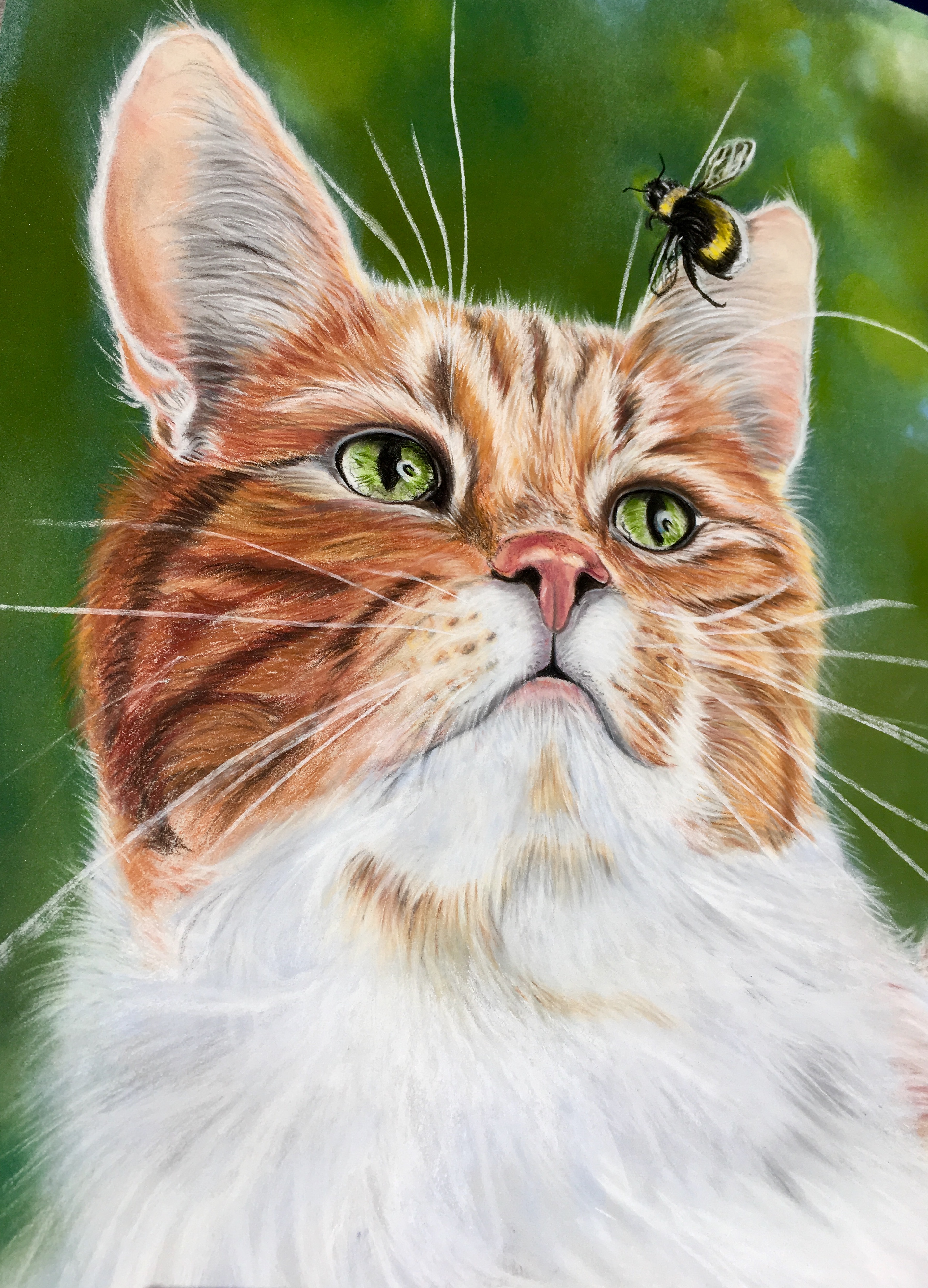 Le chat et le hanneton