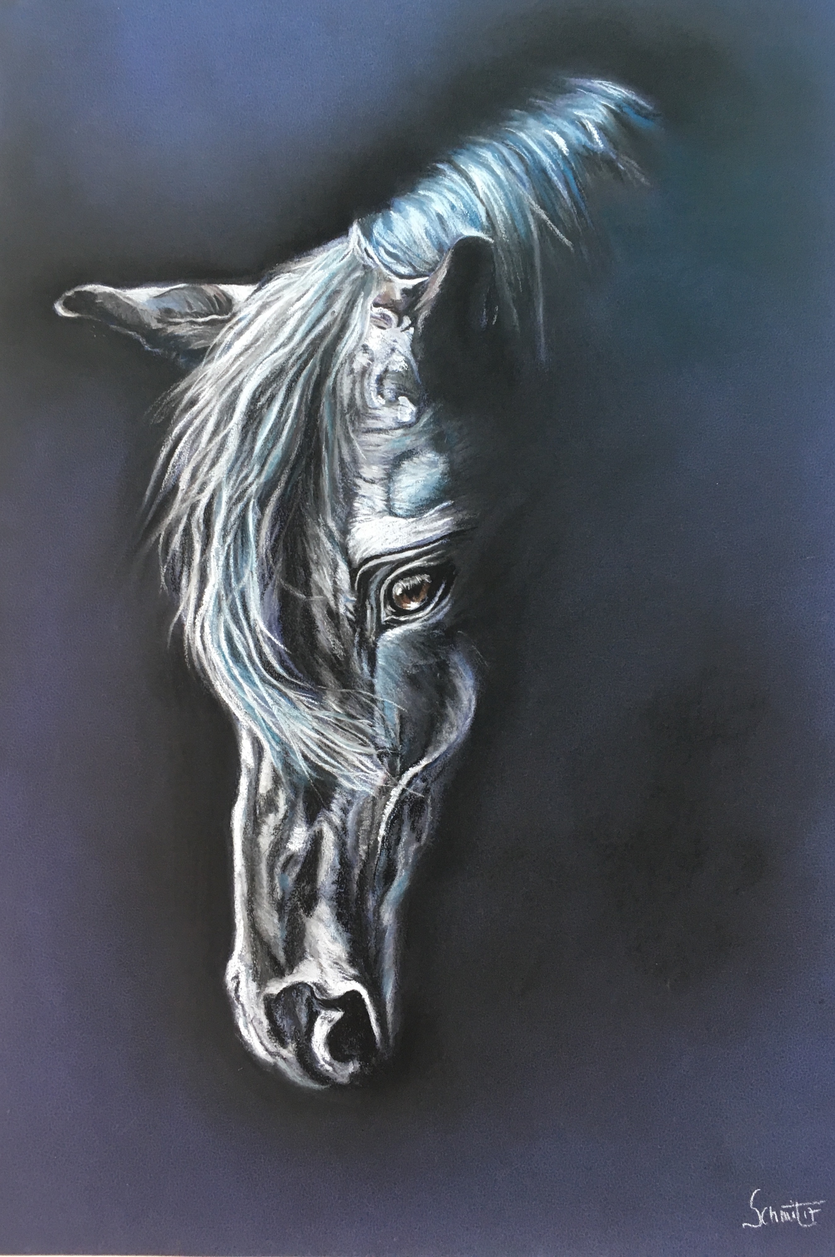 cheval 100 €