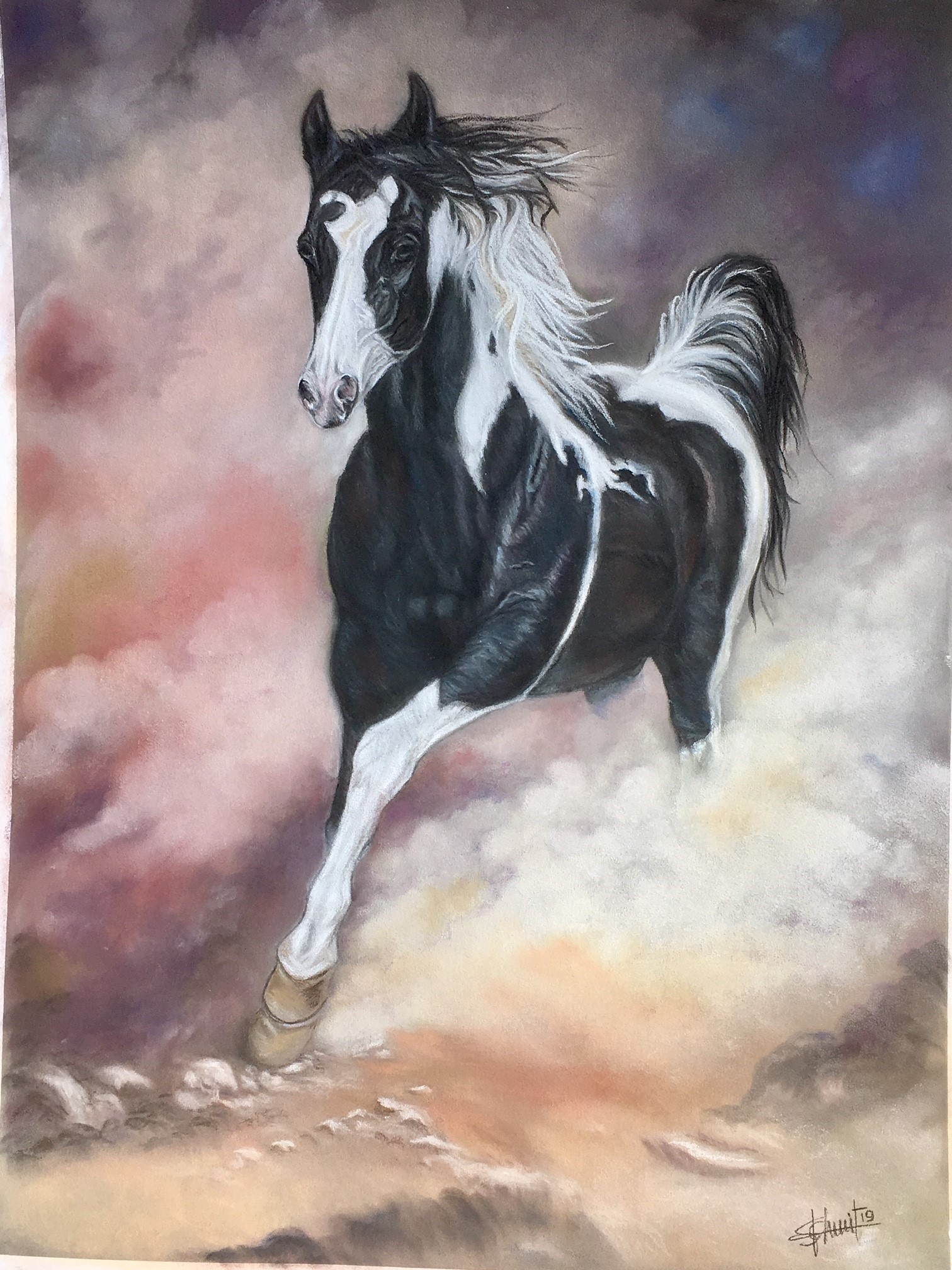 Paint horse 150 €