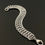 Thumbnail: Vertebrae