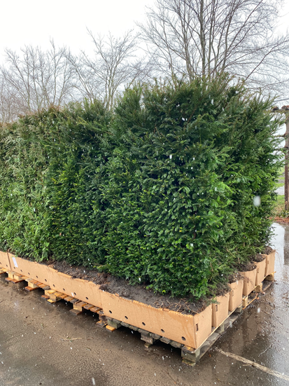 Hedge modules