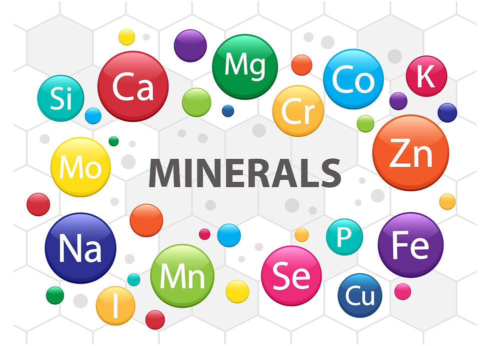 Mineral Premix