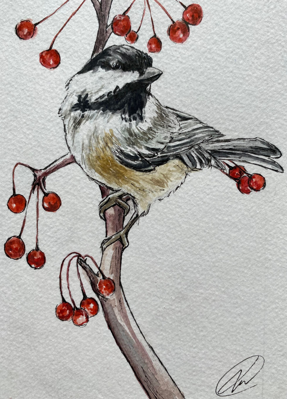 Chickadee