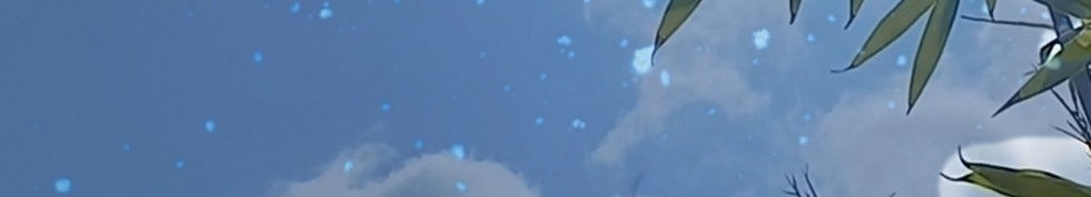 32931577_m.jpg