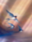 bird artwork swallow birds flying painting raleigh artist.heic