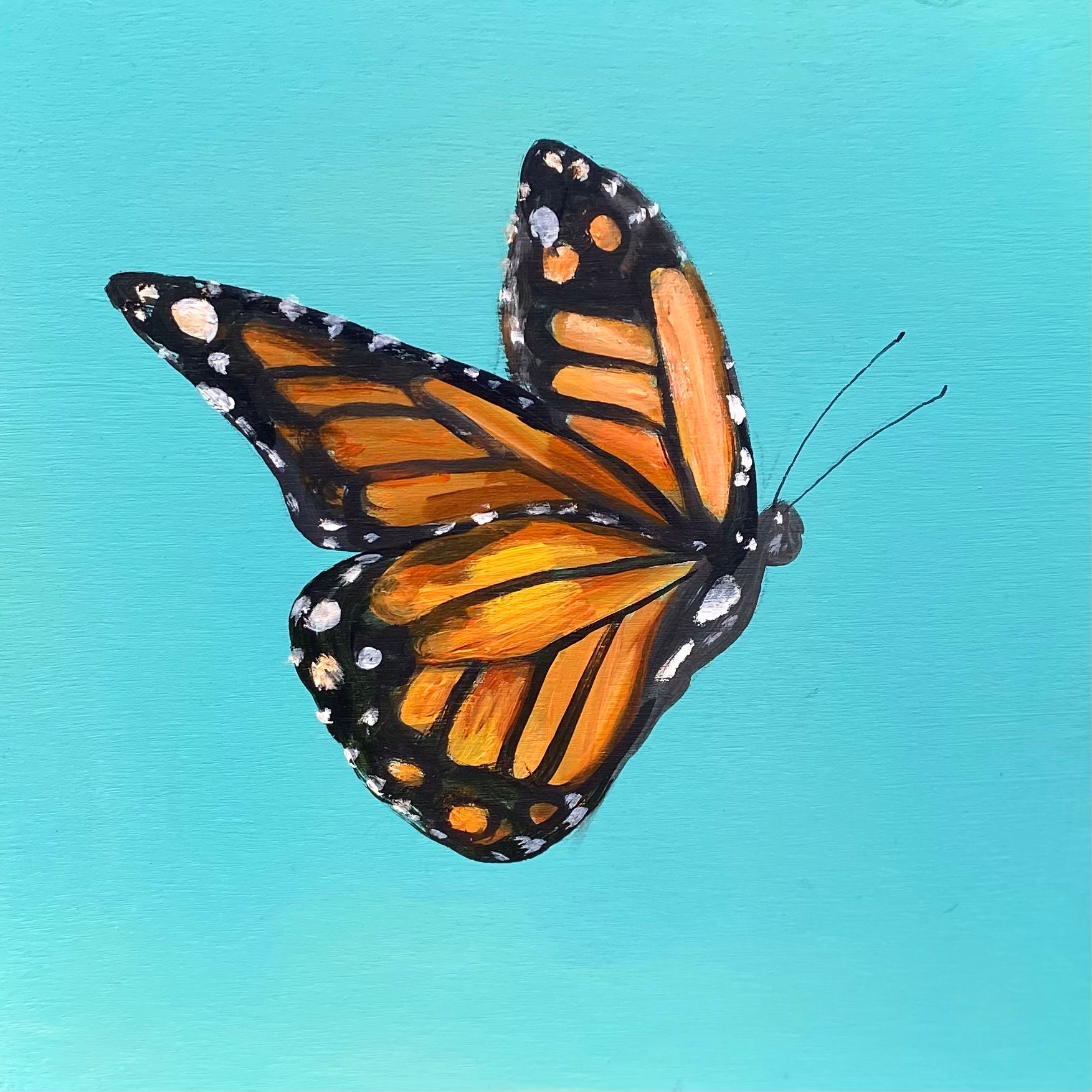 Garden Guardian: The Monarch. Original 6x6 wood board