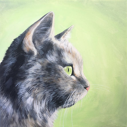 cat portrait by Amy Yeager Jorge.jpg