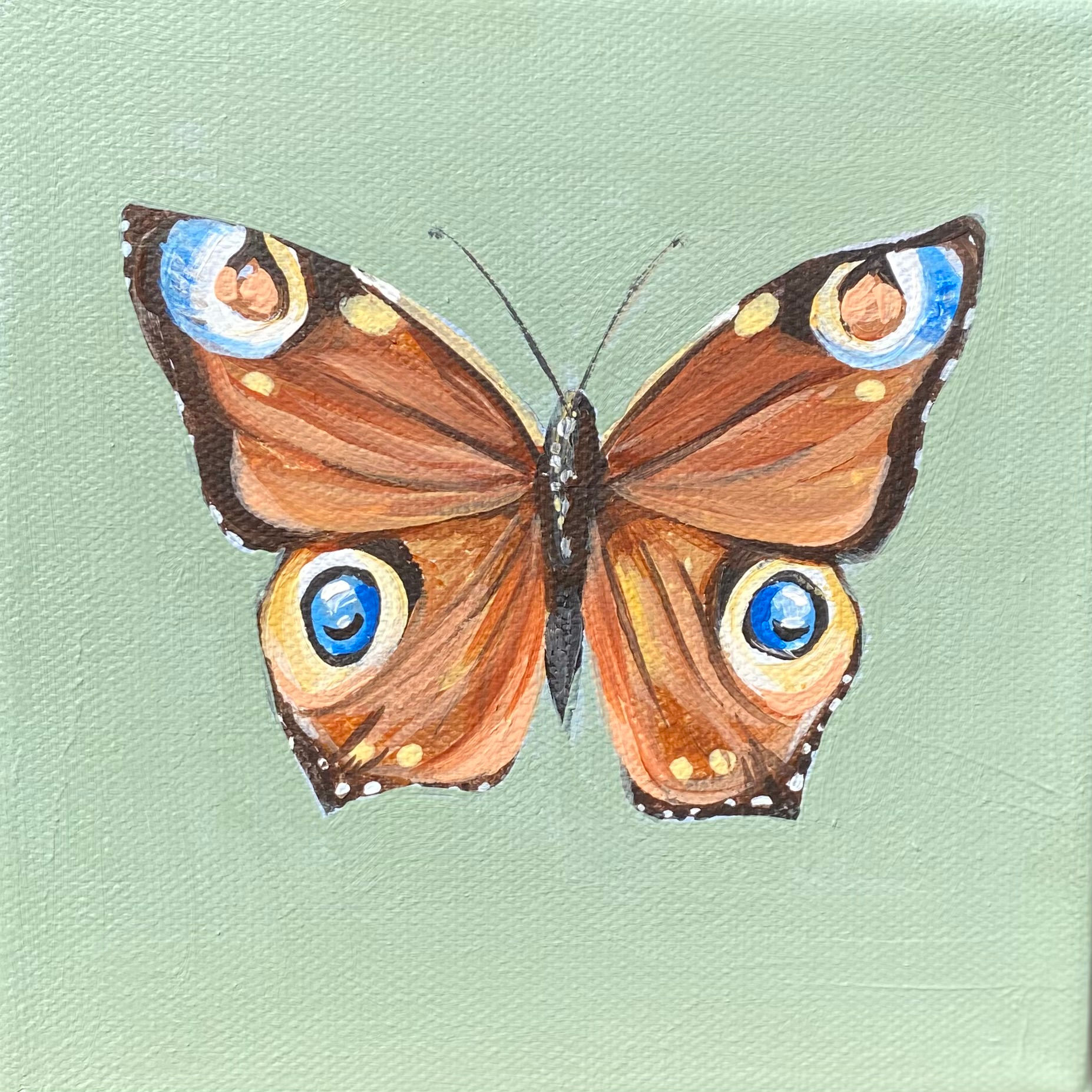 Garden Guardian: The Butterfly with eyes. Original 6x6 canvas