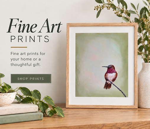 Hummingbird Fine Art Prints Display.png
