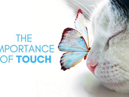 On the importance of Touch from a bodyworker's perspective