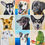 Thumbnail: A Custom Pet Portrait on canvas
