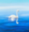 guided meditations for Spirit Animal Connection and Artwork Swan Paintingjpg