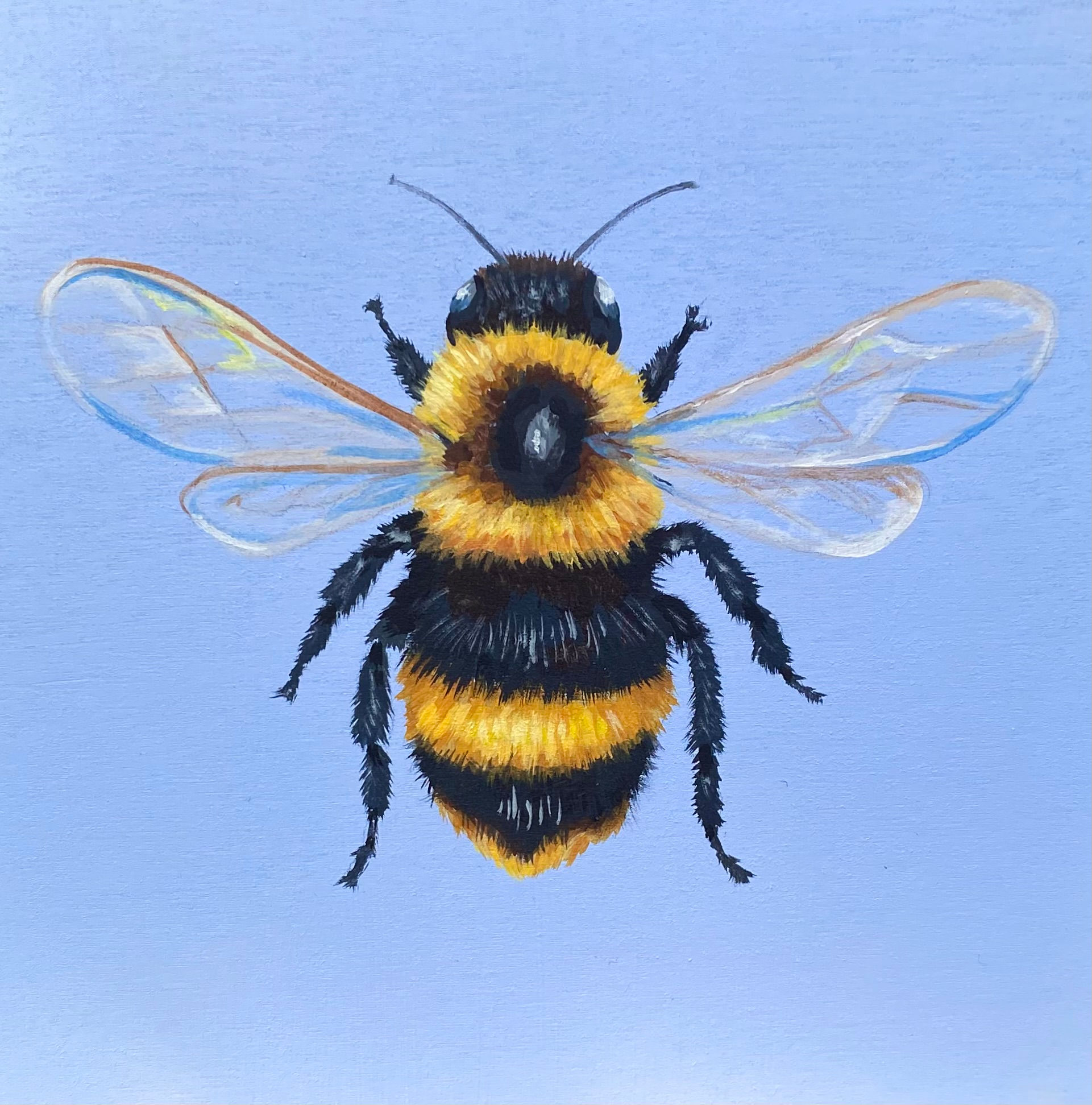 Garden Guardian: The Bee. Original 6x6 wood board