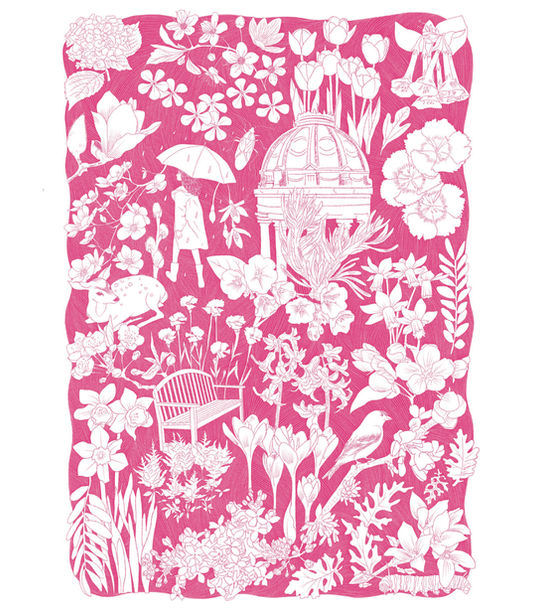 American University Arboretum 20th Anniversary Illustrations: Spring