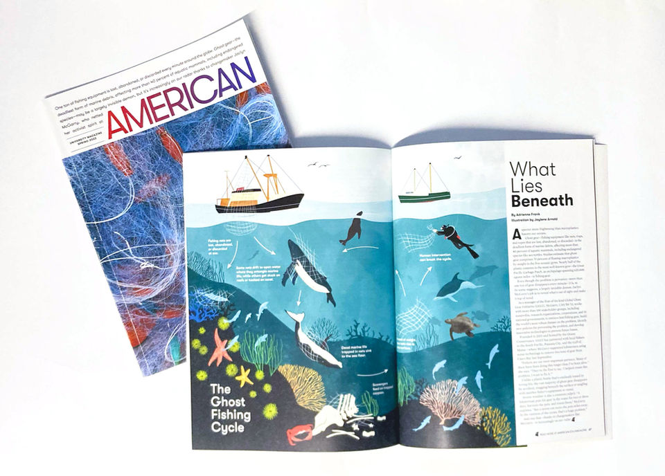 Illustration and Layout