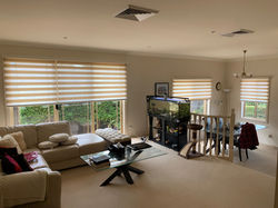 Dual Shade blinds in light filtering fabric in Camden by a shade better window furnishings in narell