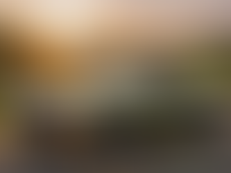 Convertible Season Is Approaching: 4 Affordable Drop-Tops Hitting Ohio Car Lots