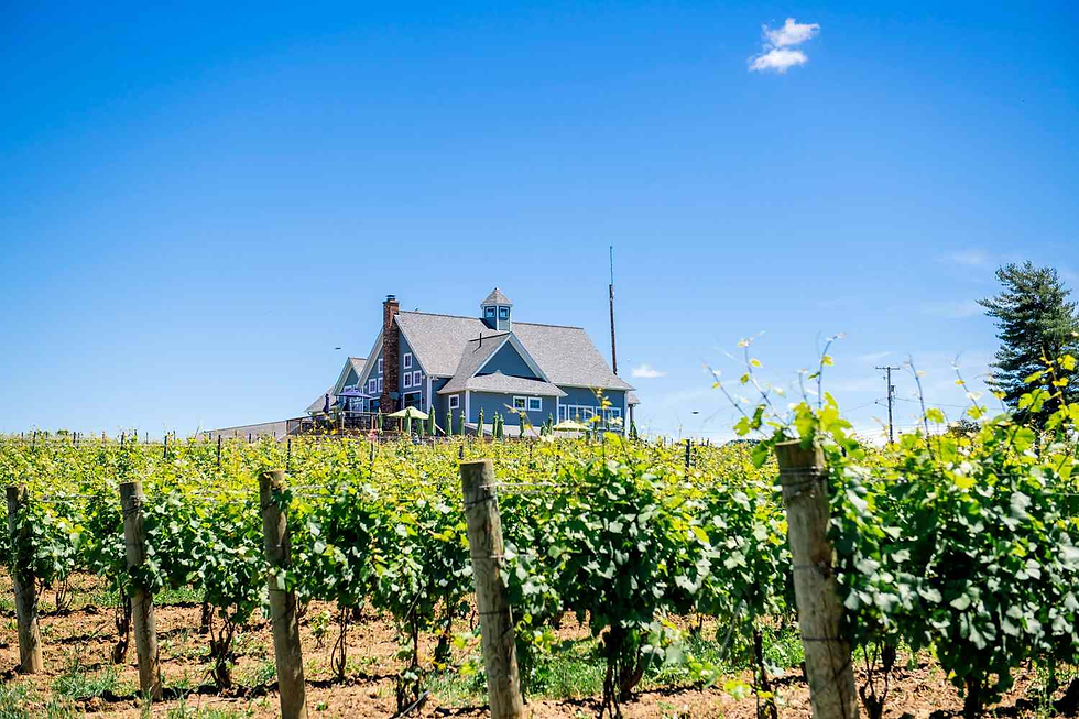 Best Scenic Drives In Indiana