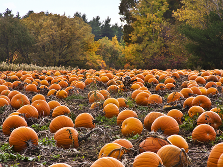 5 Perfect Pumpkin Patch Day Trips In Southeast Indiana (And The Best Family Cars To Get You There)