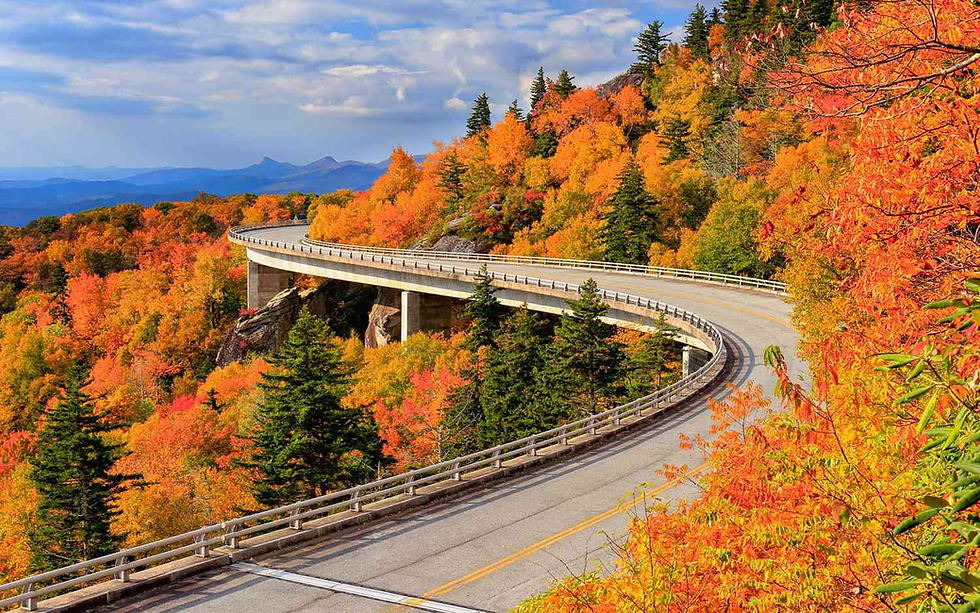 Curved road with vibrant autumn foliage on either side, set against distant mountains and a partly cloudy sky, creating a serene scene.