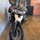 Miniatura: TRIUMPH TIGER 800 XC