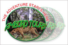 amborotours