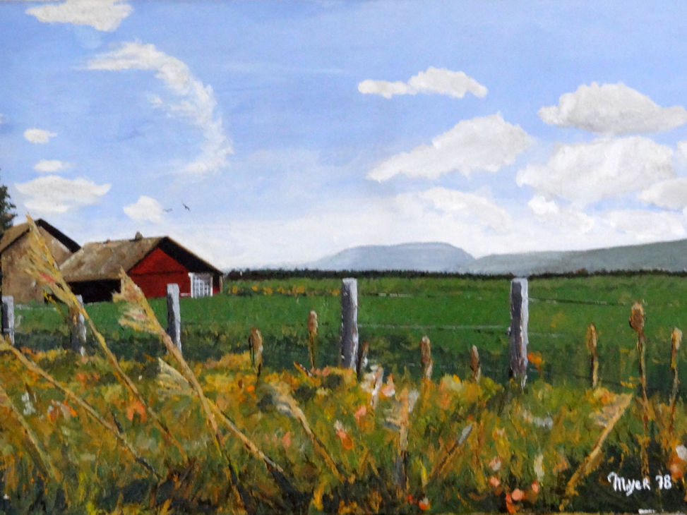 grange rouge dans un champ