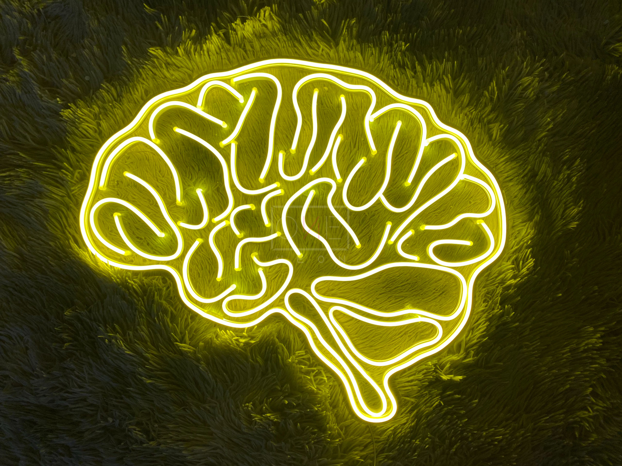 Brain LED Neon Sign, Neon Sign Custom, Home Decor, Gift Neon Light